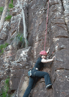 Adventures Around Brisbane - Accommodation Cooktown 4