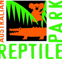 Australian Reptile Park - Accommodation Cooktown