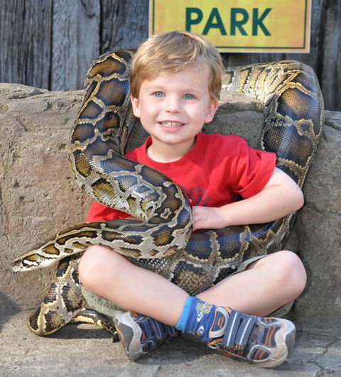 Australian Reptile Park - Accommodation Cooktown 3