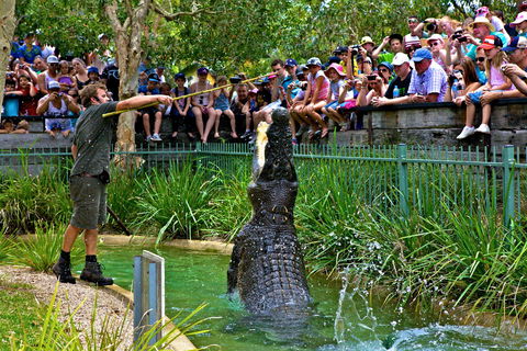 Australian Reptile Park - Accommodation Cooktown 4