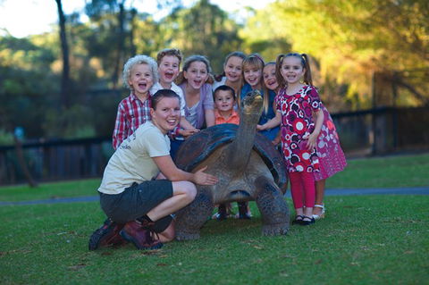 Australian Reptile Park - Accommodation Cooktown 11