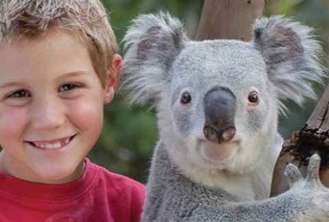 Featherdale Wildlife Park - Accommodation Cooktown 1