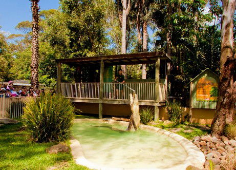 Featherdale Wildlife Park - Accommodation Cooktown 2