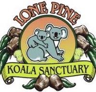 Lone Pine Koala Sanctuary - Accommodation Cooktown