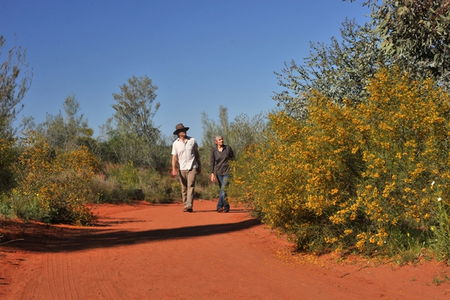 Alice Springs Desert Park - Accommodation Cooktown 3