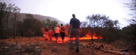 Alice Springs Desert Park - Accommodation Cooktown 4