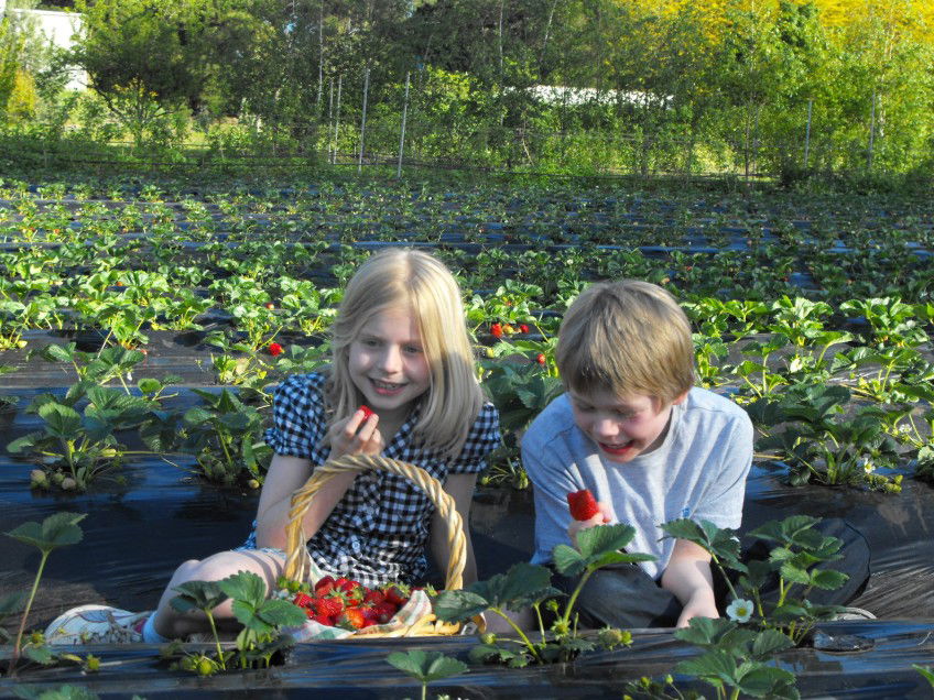  Accommodation Cooktown