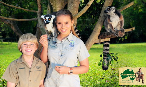 Australia Zoo - Accommodation Cooktown 2