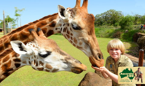 Australia Zoo - Accommodation Cooktown 4