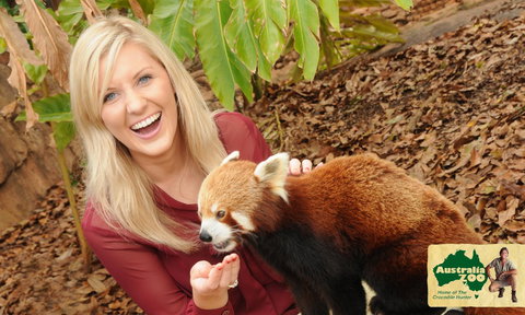 Australia Zoo - Accommodation Cooktown 7