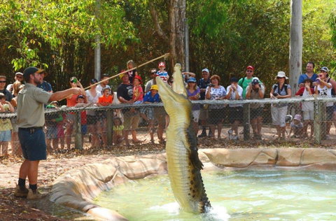 Billabong Sanctuary - Accommodation Cooktown 2