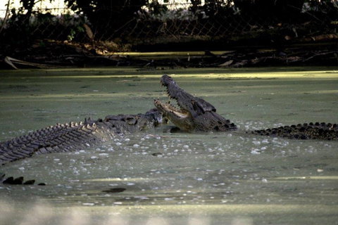 Billabong Sanctuary - Accommodation Cooktown 3