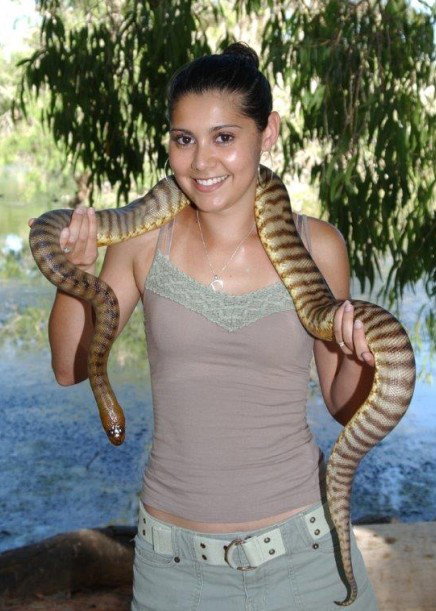 Billabong Sanctuary - Accommodation Cooktown 4