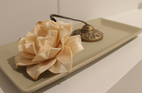 The Boardwalk Spa - Accommodation Cooktown 5