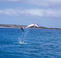 Steep Point - Accommodation Cooktown