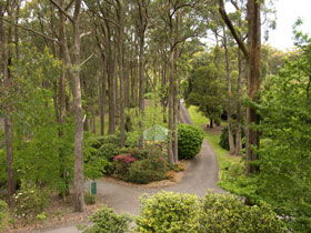 Mount Lofty Botanic Garden - Accommodation Cooktown 0