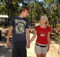 Crooked Brook Forest - Accommodation Cooktown