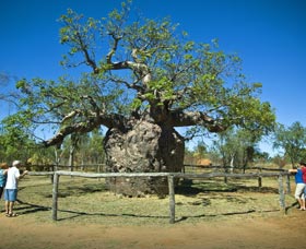 Pigeon Heritage Trail - Accommodation Cooktown 0