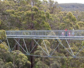 Walpole Wilderness Discovery Centre - Accommodation Cooktown 0