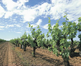 Alexandra Bridge WA Accommodation Cooktown