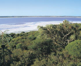 Pink Lake - Accommodation Cooktown 0