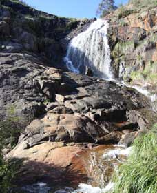 Lesmurdie WA Accommodation Cooktown