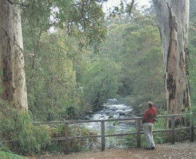 Cascades - Accommodation Cooktown 0
