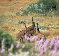 Jurabi Coastal Reserve - Accommodation Cooktown