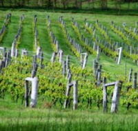 Sienna Estate Winery - Accommodation Cooktown
