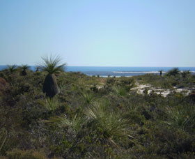 Lesueur National Park - Accommodation Cooktown 0