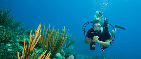 Coastal Water Dive - Accommodation Cooktown 0