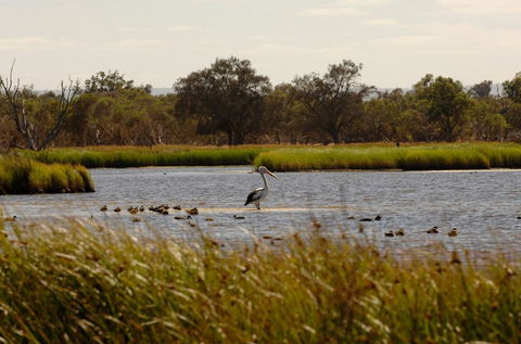 Anytime Adventures In Mandurah & The Peel Region - Accommodation Cooktown 0