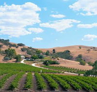 Bethany Wines