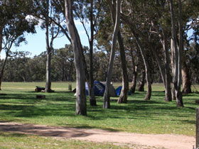 Naracoorte SA Accommodation Cooktown