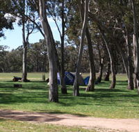Black Cockatoo Bush Camp - Accommodation Cooktown