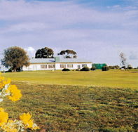 Lucindale Country Club - Accommodation Cooktown