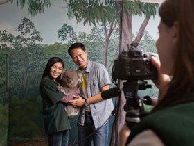 Cleland Wildlife Park - Accommodation Cooktown 0