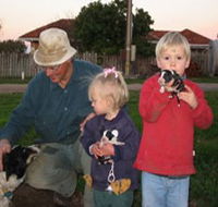 Orrie Cowie Merino and Poll Merino Stud - Accommodation Cooktown