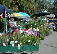 Meadows Monthly Market - Accommodation Cooktown