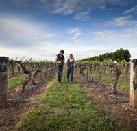 Coonawarra Wineries Walking Trail - Accommodation Cooktown