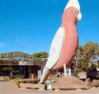 The Big Galah - Accommodation Cooktown