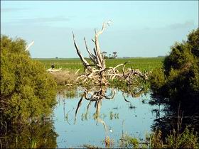  Accommodation Cooktown