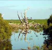 Bool Lagoon Game Reserve and Hacks Lagoon Conservation Park - Accommodation Cooktown