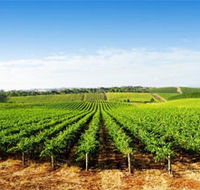 Aldinga Bay Winery - Accommodation Cooktown