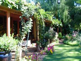 Rainforest Retreat - Accommodation Cooktown 0
