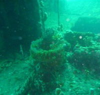 Wallaroo Scuba Club - Accommodation Cooktown