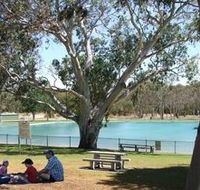 Naracoorte Nature Park and Swimming Lake - Accommodation Cooktown
