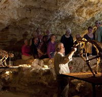 Naracoorte Caves National Park - Accommodation Cooktown