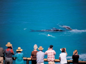 Nullarbor SA Accommodation Cooktown