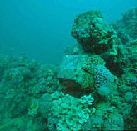Adelaide's Underwater Heritage Trail - Accommodation Cooktown